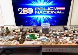 Una red de narcotraficantes de Rota maquillaba su actividad usando como tapadera asociaciones dedicadas al cannabis medicinal