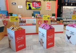 Mascotas Ávila inaugura su tercera tienda en Chiclana, alcanzando 19 establecimientos en total