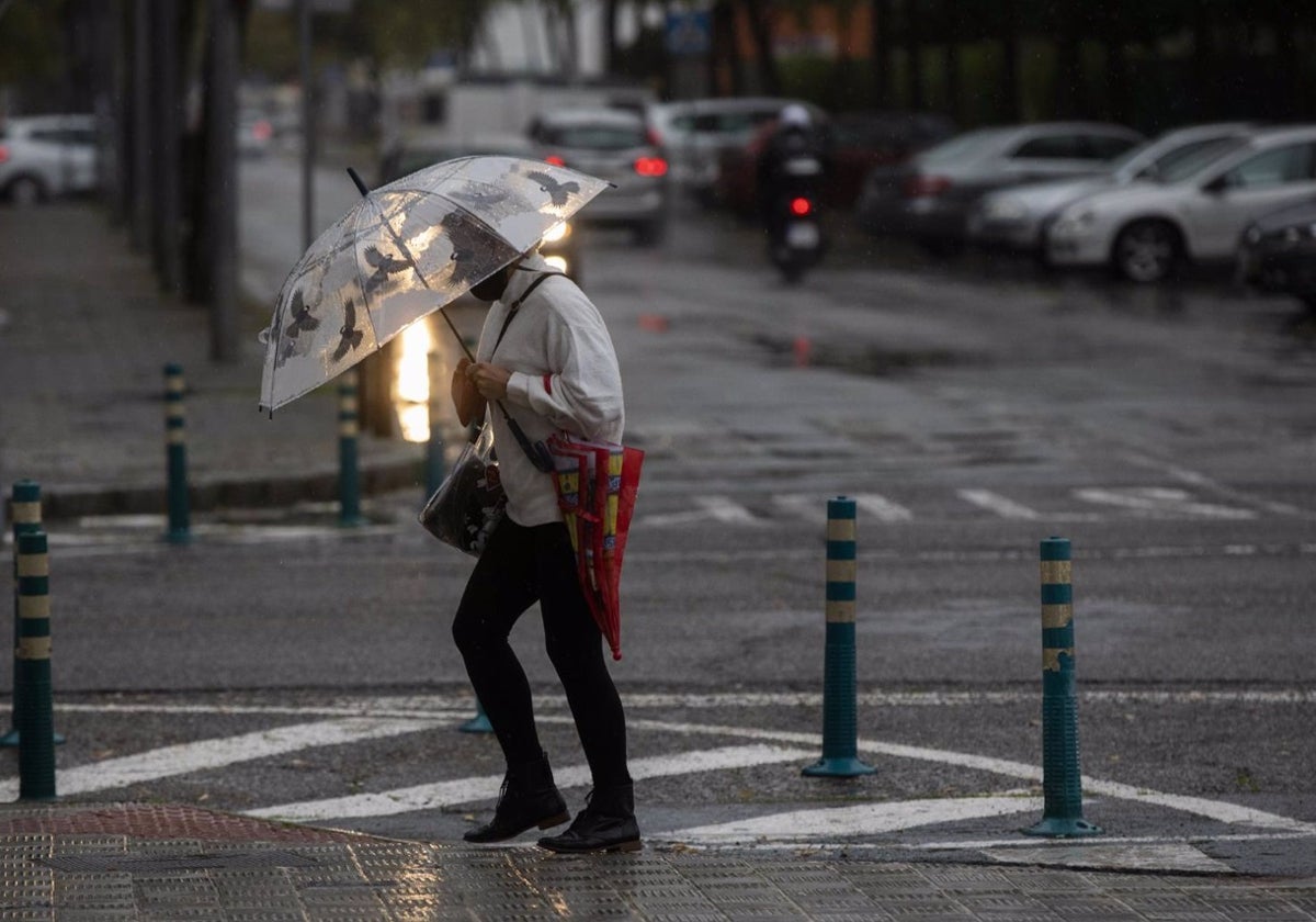 La Aemet activa el aviso amarillo por lluvias en Cádiz y no se descartan tormentas y granizo