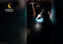 Aterrorizado y preso del pánico por los petardos y fuegos artificiales: un perro a la deriva en aguas de Chipiona