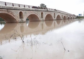 Jerez iniciará el expediente para declarar el Puente de La Cartuja, de 500 años, como BIC