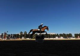 Un jinete salta un obstáculo con su caballo