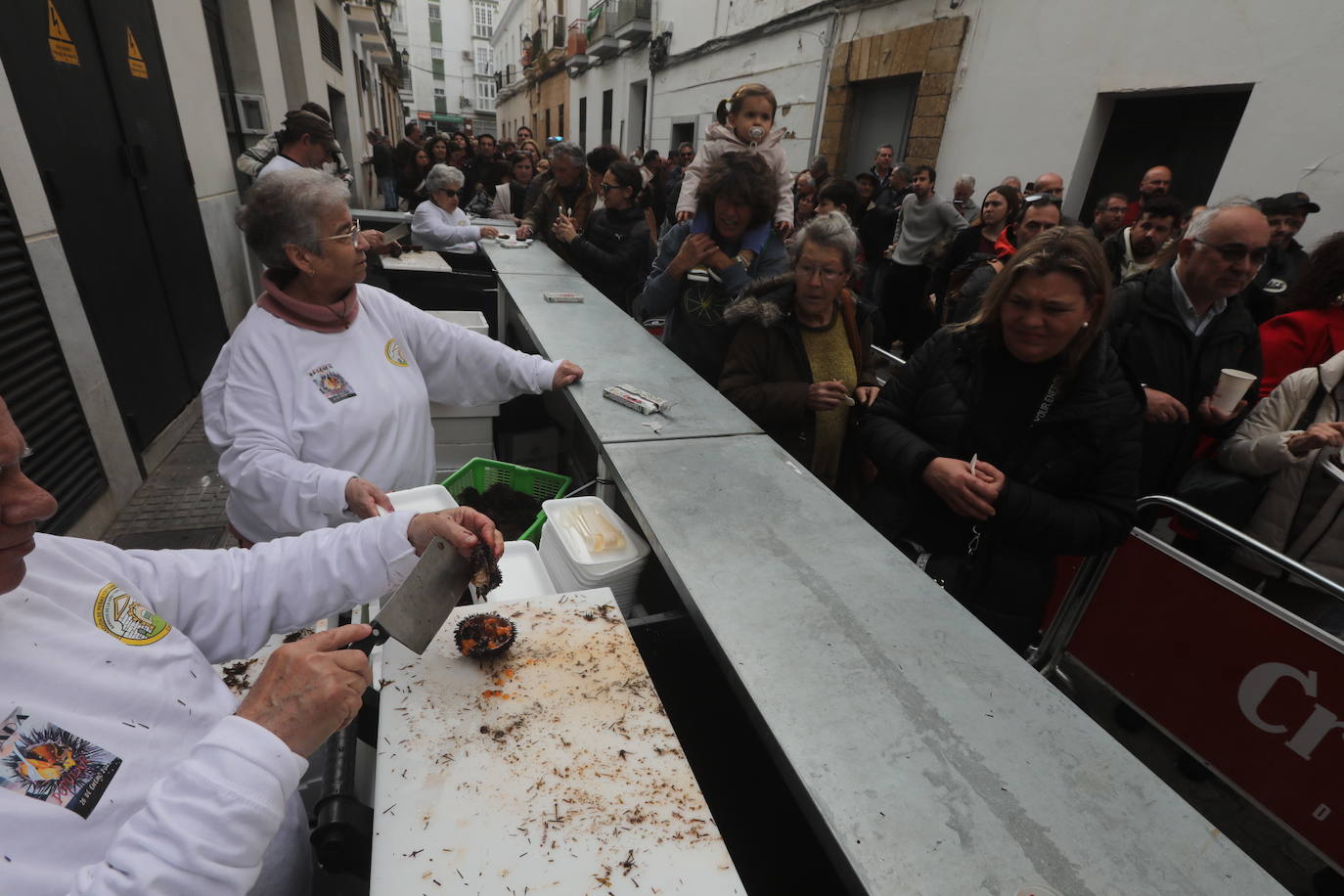 La Erizada llena La Viña de gente y coplas... hasta que la lluvia aguó la fiesta