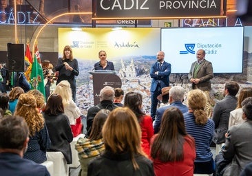 Diputación asume el reto de sumar nuevos vuelos para el aeropuerto de Jerez