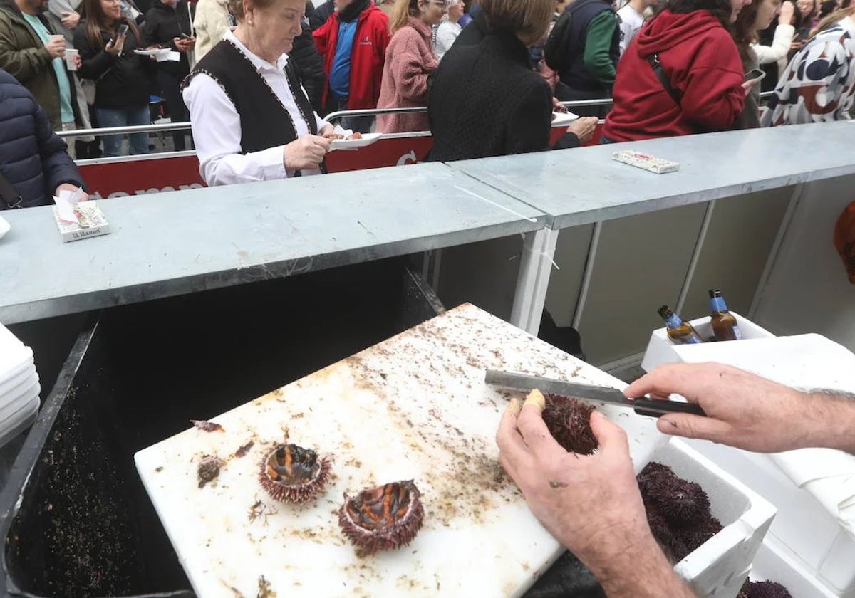 Actuación policial en la Erizada de Cádiz: intervienen más de 100 kilos de erizos y ostiones