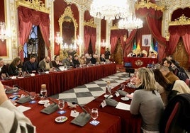 El Pleno de Diputación de Cádiz aprueba el presupuesto de 2025: «El más alto de la historia, el más sostenible y el más inversor»