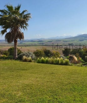 Imagen secundaria 2 - La casa más cara de la Sierra de Cádiz sale a la venta por este precio: se encuentra dentro de una finca de 20 hectáreas