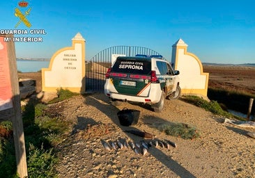 Intervenidas redes ilegales y 15 ejemplares de lisas en el Parque Natural de la Bahía de Cádiz