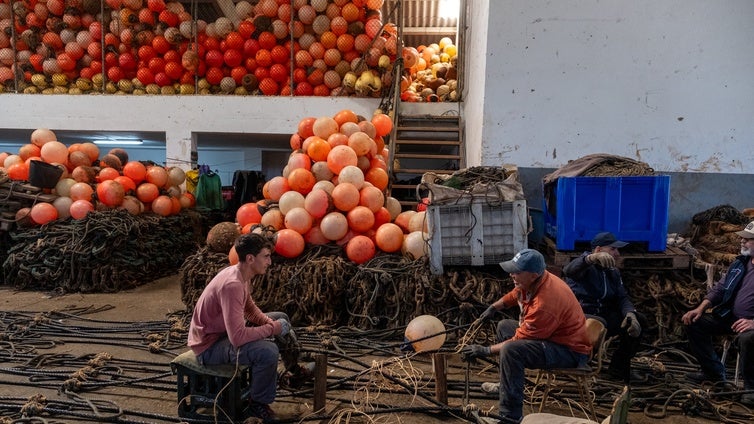 Las limitaciones de pesca del atún rojo obligan un año más a las almadrabas gaditanas a comprar cuota a pesquerías del Mediterráneo