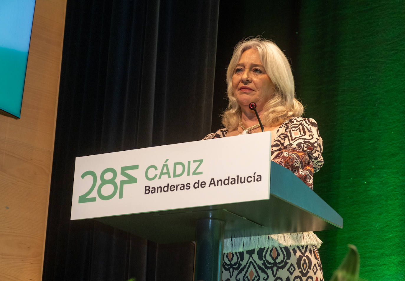 Fotos: La Junta entrega en Rota las Banderas de Andalucía 2025 de Cádiz