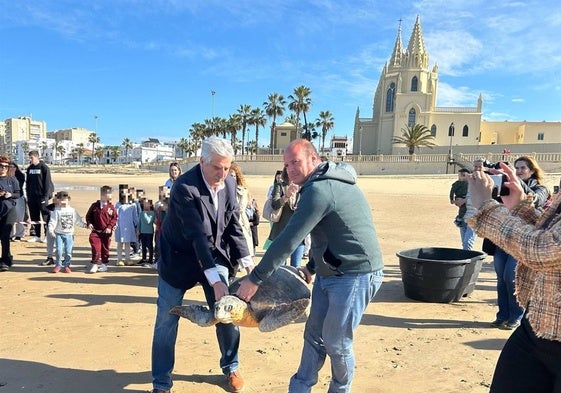 Una de las tortugas liberadas en Chipiona