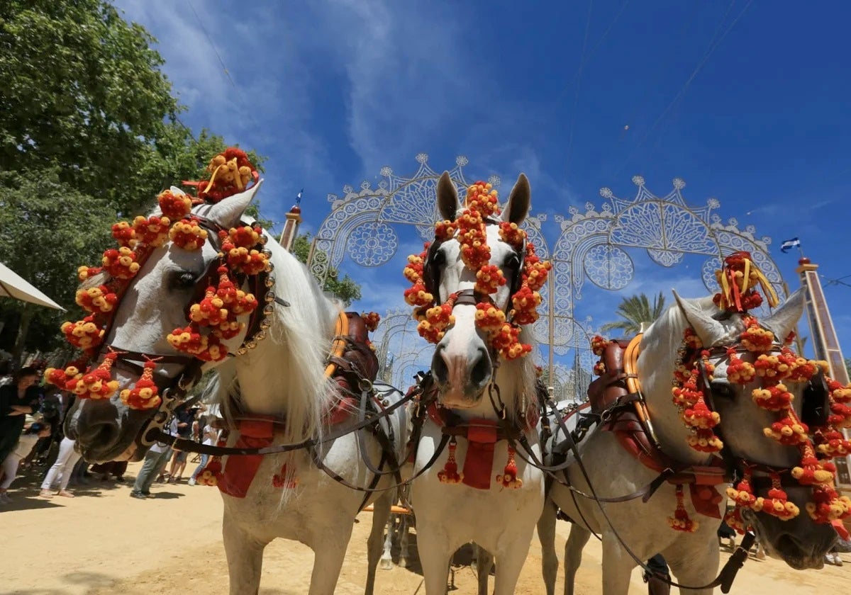 La Feria del Caballo de Jerez se moderniza: nueva iluminación LED y estructuras más seguras