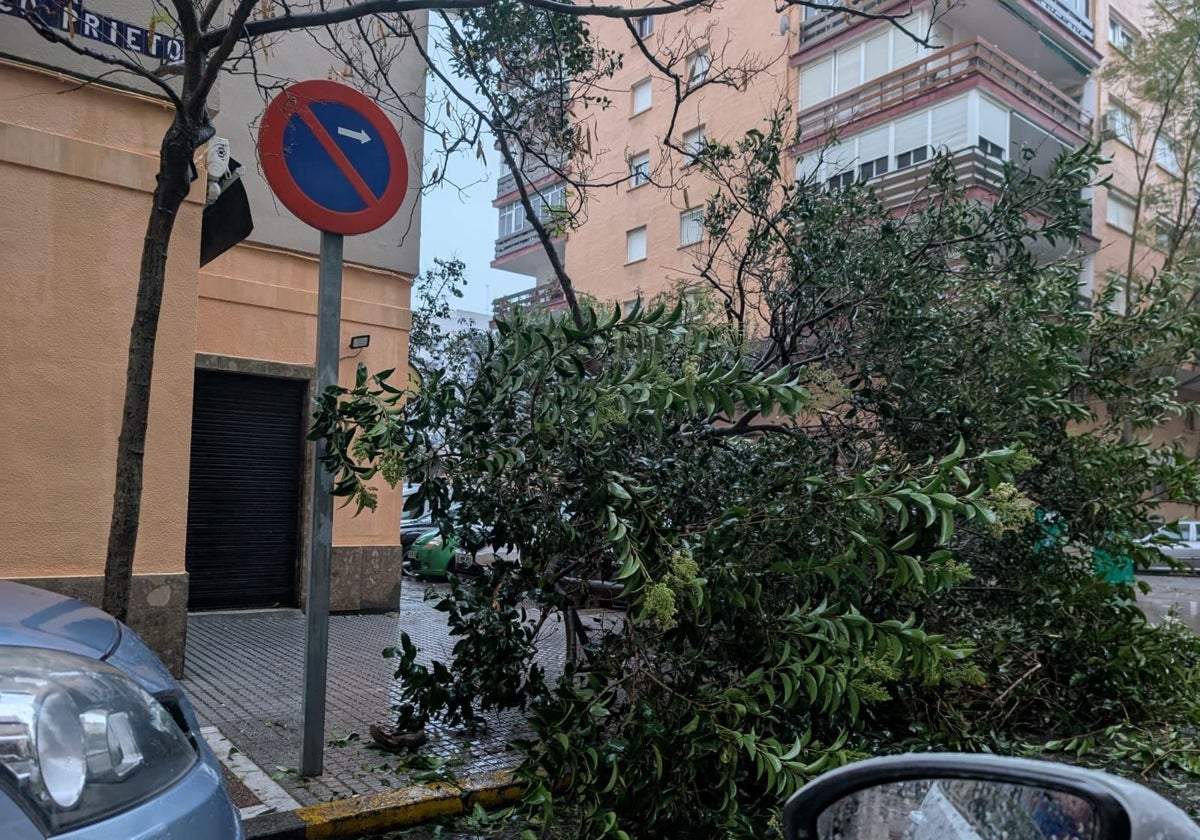 Cádiz, la provincia de Andalucía con más incidencias por el paso de la borrasca Jana