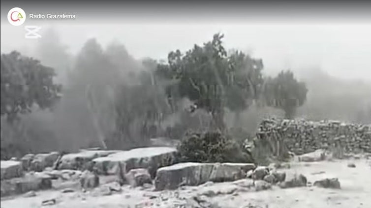 La borrasca Jana lleva la nieve a la Sierra de Grazalema: preciosa estampa