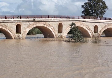 El caudal del río Guadalete se estabiliza pero la incertidumbre continúa para los vecinos de Jerez