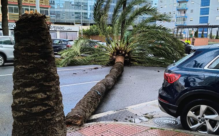 Imagen principal - La circulación ha quedado cortada en la Avenida principal de Cádiz