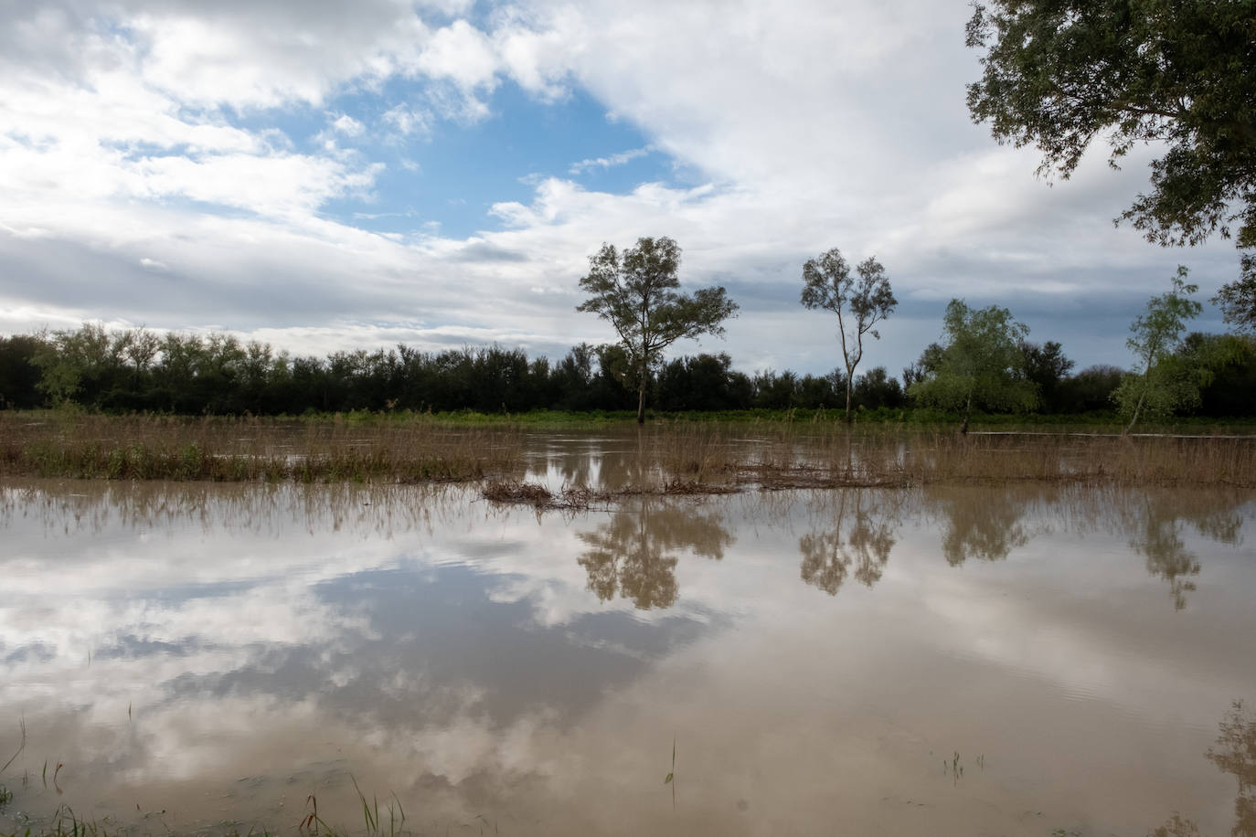 Los estragos de la borrasca Konrad, en imágenes