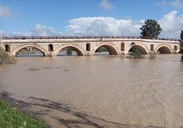 La mitad de los pantanos de Cádiz, a punto de desembalsar a causa de los últimos temporales