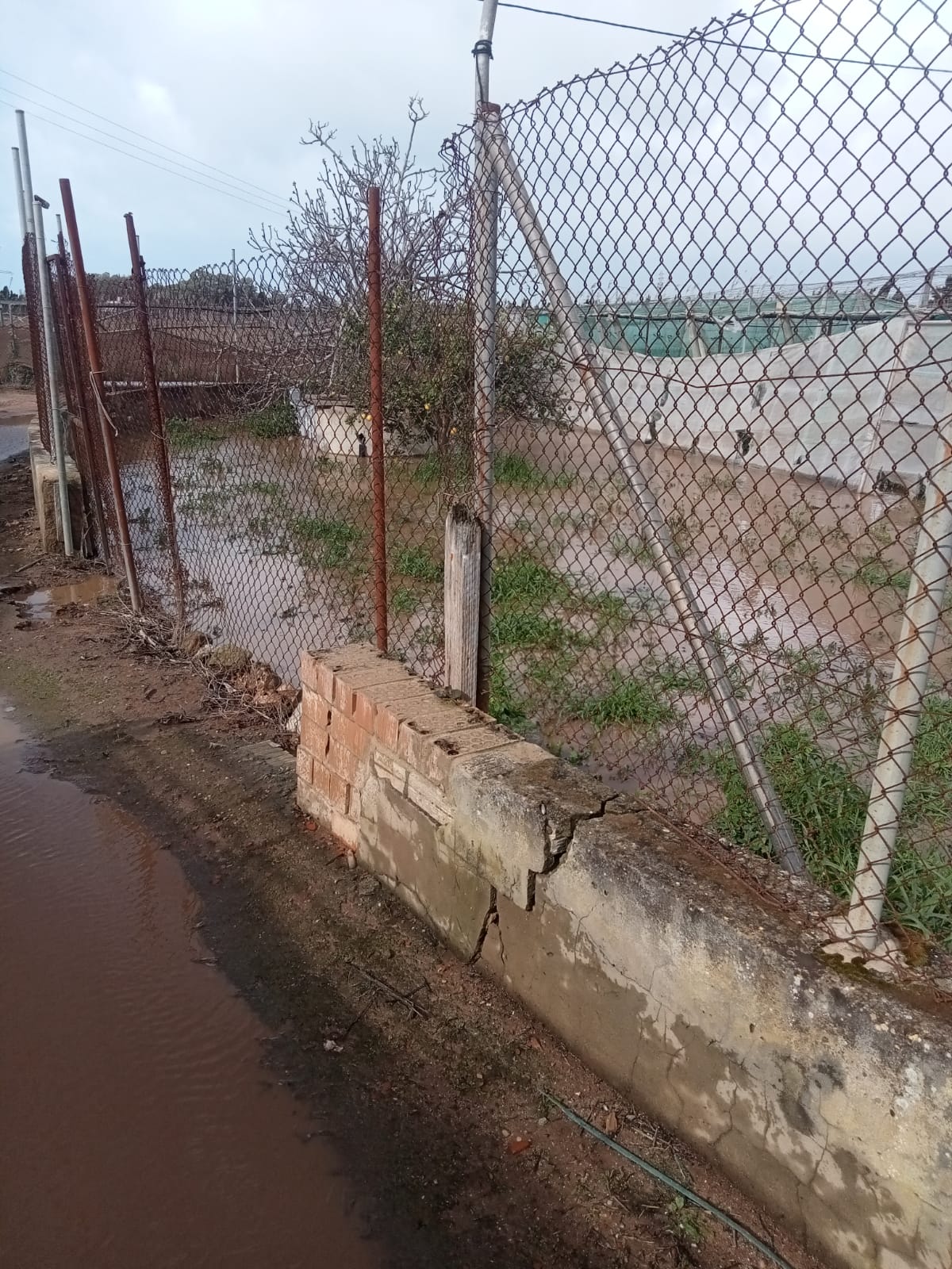 El agua cubre los cultivos de la Costa Noroeste