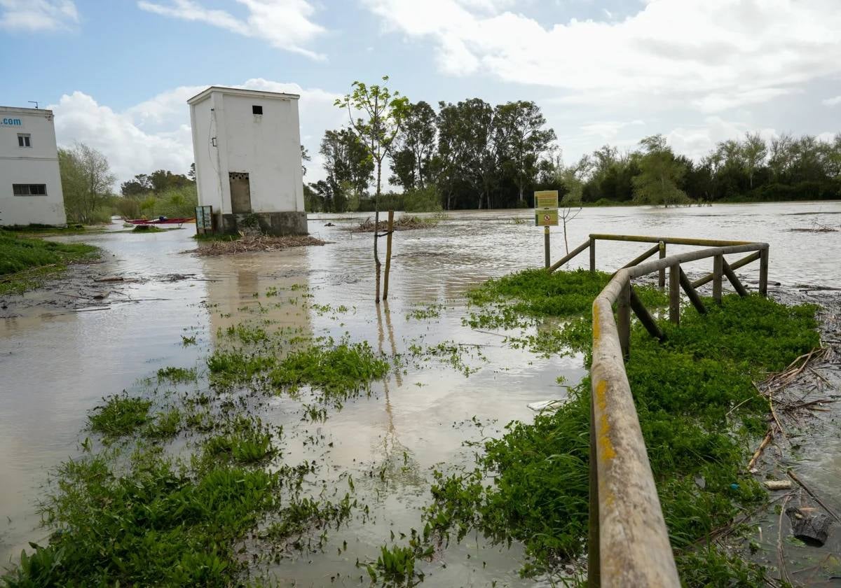 Ha llovido en Cádiz... y no cuatro gotas: 239 mm en marzo la ponen la segunda provincia más lluviosa de España en marzo