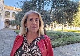 Adelante: «Nos preocupa, que en el contexto bélico en el que vivimos, se utiliza a Andalucía para este tipo de maniobras»
