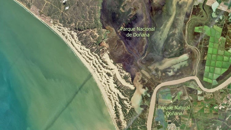 El agua es vida: la resurrección de Doñana tras años de sequía intensa