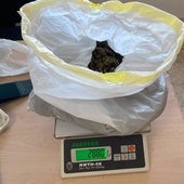 La droga estaba oculta en el coche