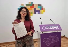 Dos interventores de la Junta comparecen como testigos en la causa por los contratos del SAS