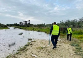 El Ayuntamiento de El Puerto aplica un tratamiento para evitar la proliferación de plagas de mosquitos