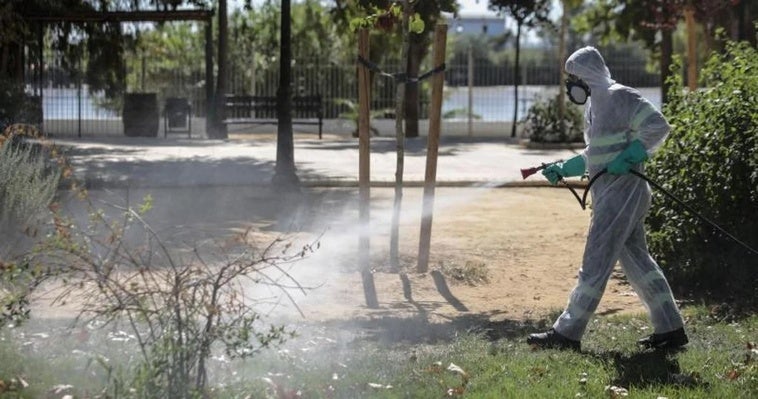 Las nuevas medidas para hacer frente al Virus del Nilo en 2025