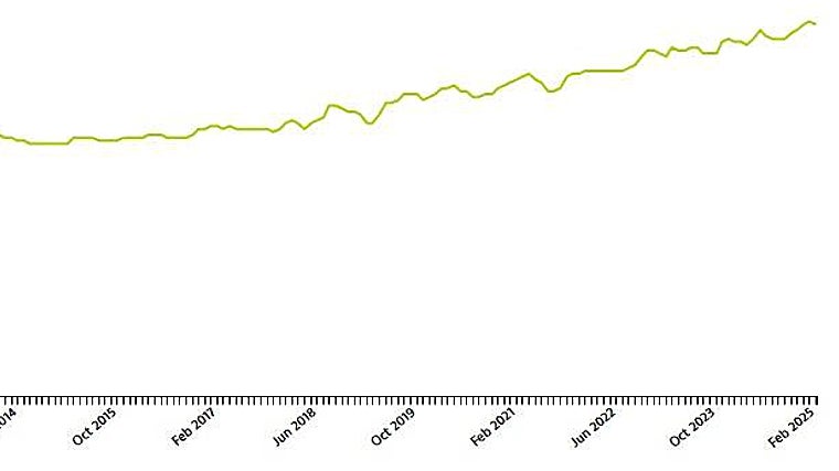 Curva de evolución del precio de la vivienda en alquiler en Cádiz
