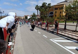 Arcos, Paterna, Los Barrios y Vejer celebran el Domingo de Resurrección con sus tradicionales sueltas de toros