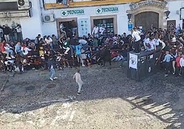 Vídeo: Un toro de 570 kilos rompe el vallado de seguridad en Arcos y siembra el caos