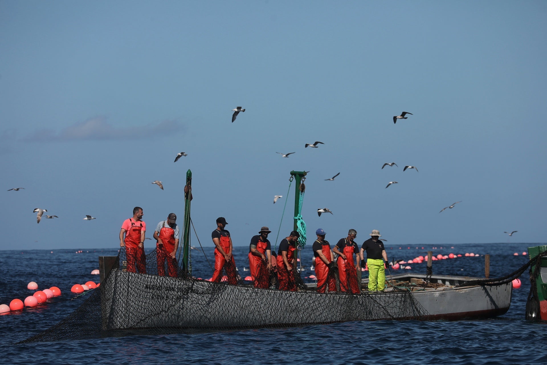 La primera levantá de atunes, en imágenes