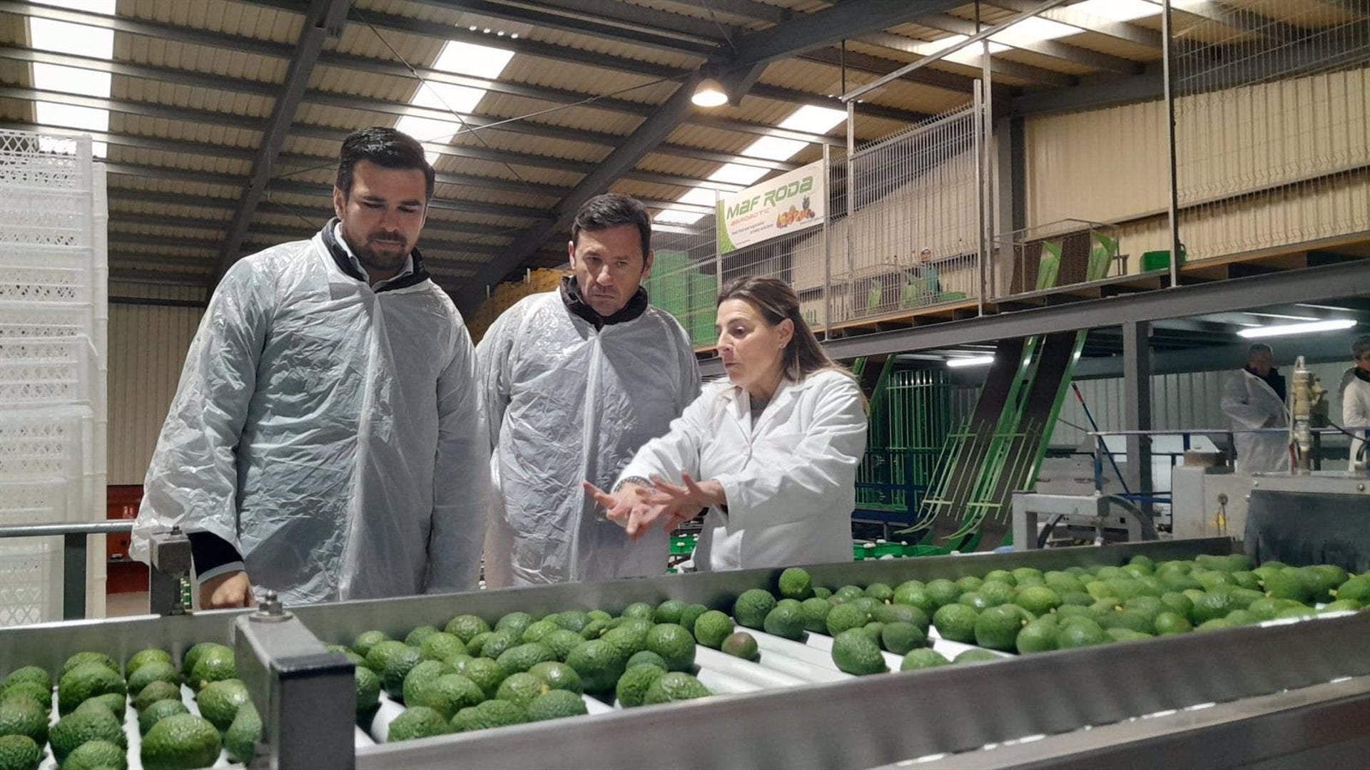 La Junta abona 93,7 millones de la PAC a más de 7.400 agricultores de la provincia