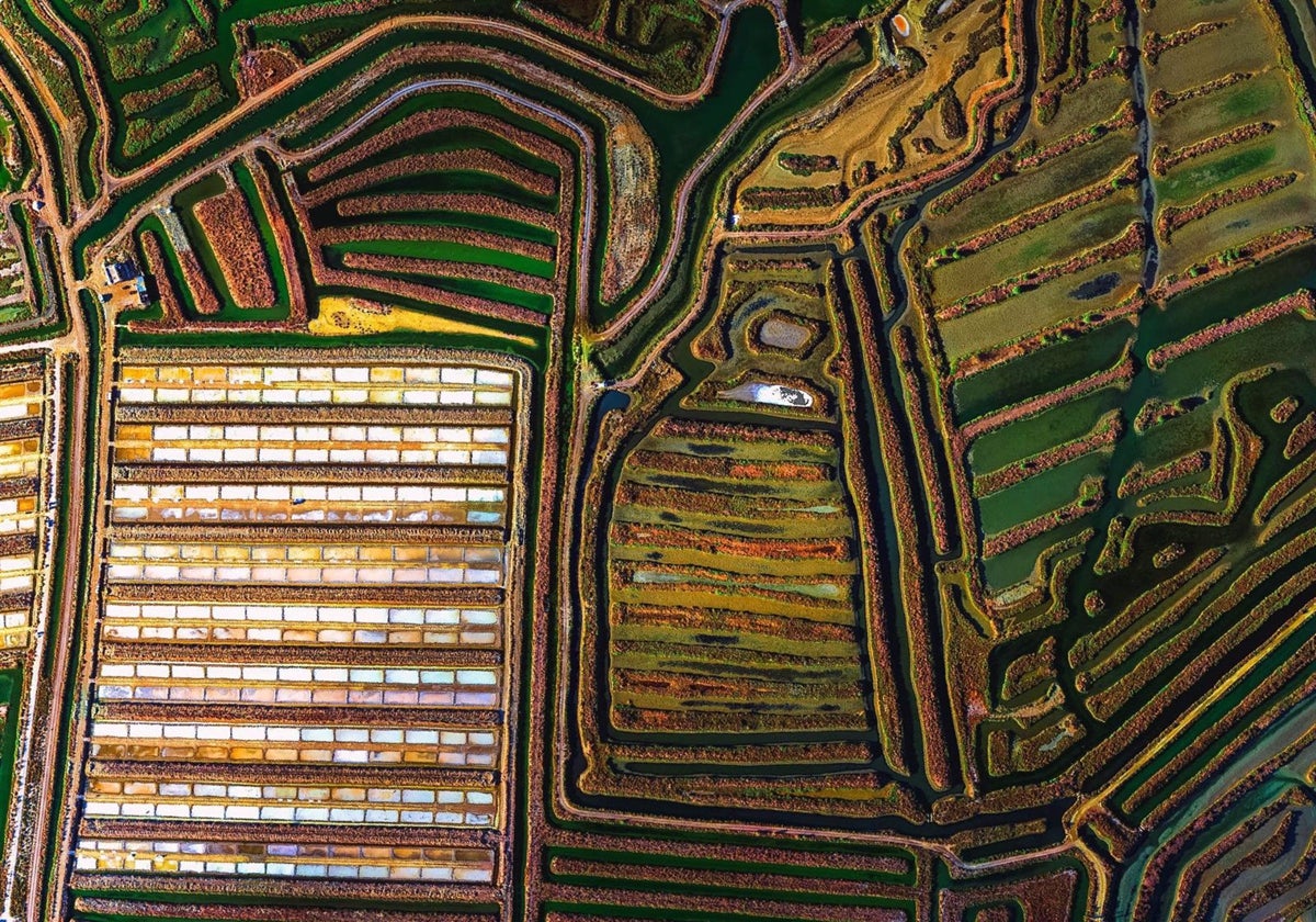 Las salinas de Cádiz, claves para aliviar el impacto del cambio climático