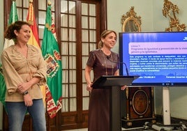 La Diputación destina 8,1 millones al Plan de Cohesión Social e Igualdad que beneficiará a 50.000 gaditanos