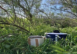 Arranca en Cádiz la ofensiva contra el virus del Nilo: más medios, más trampas y alerta más temprana