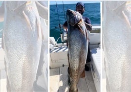 El pescador gaditano muestra orgulloso el enorme ejemplar de corvina que ha capturado