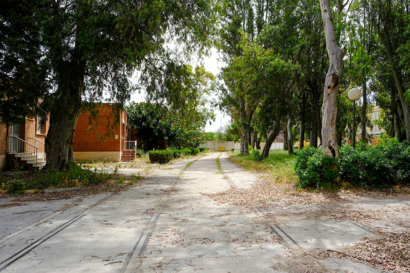 Fotos: estado actual de los Depósitos de Tabaco en Cádiz, donde se ubicará la Ciudad de la Justicia