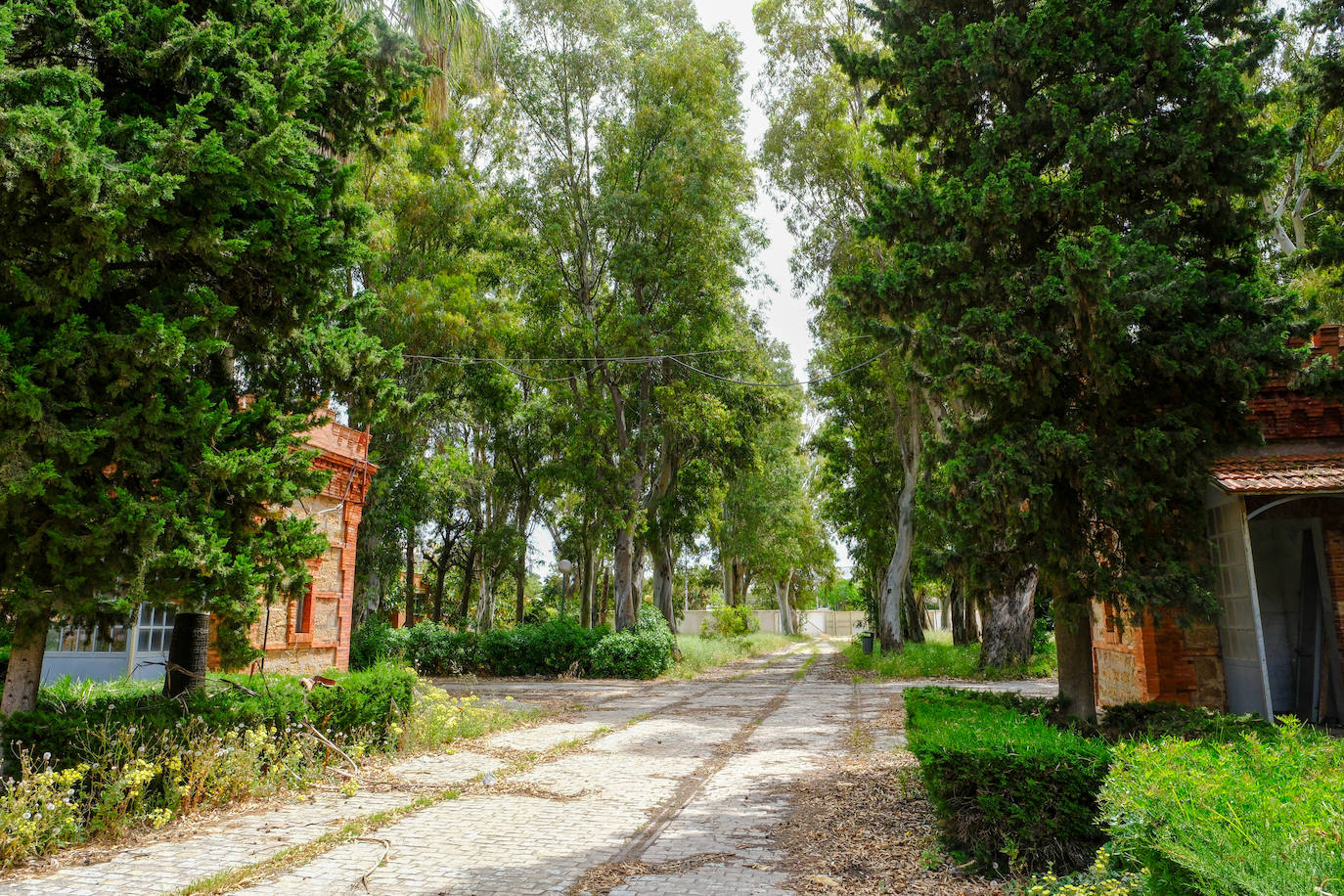 Fotos: estado actual de los Depósitos de Tabaco en Cádiz, donde se ubicará la Ciudad de la Justicia