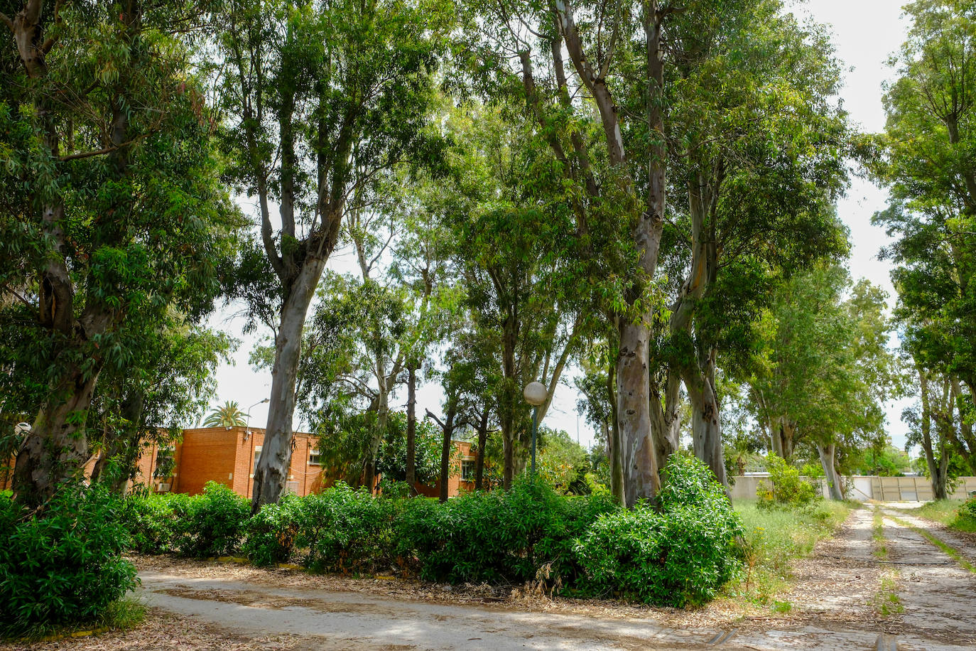 Fotos: estado actual de los Depósitos de Tabaco en Cádiz, donde se ubicará la Ciudad de la Justicia