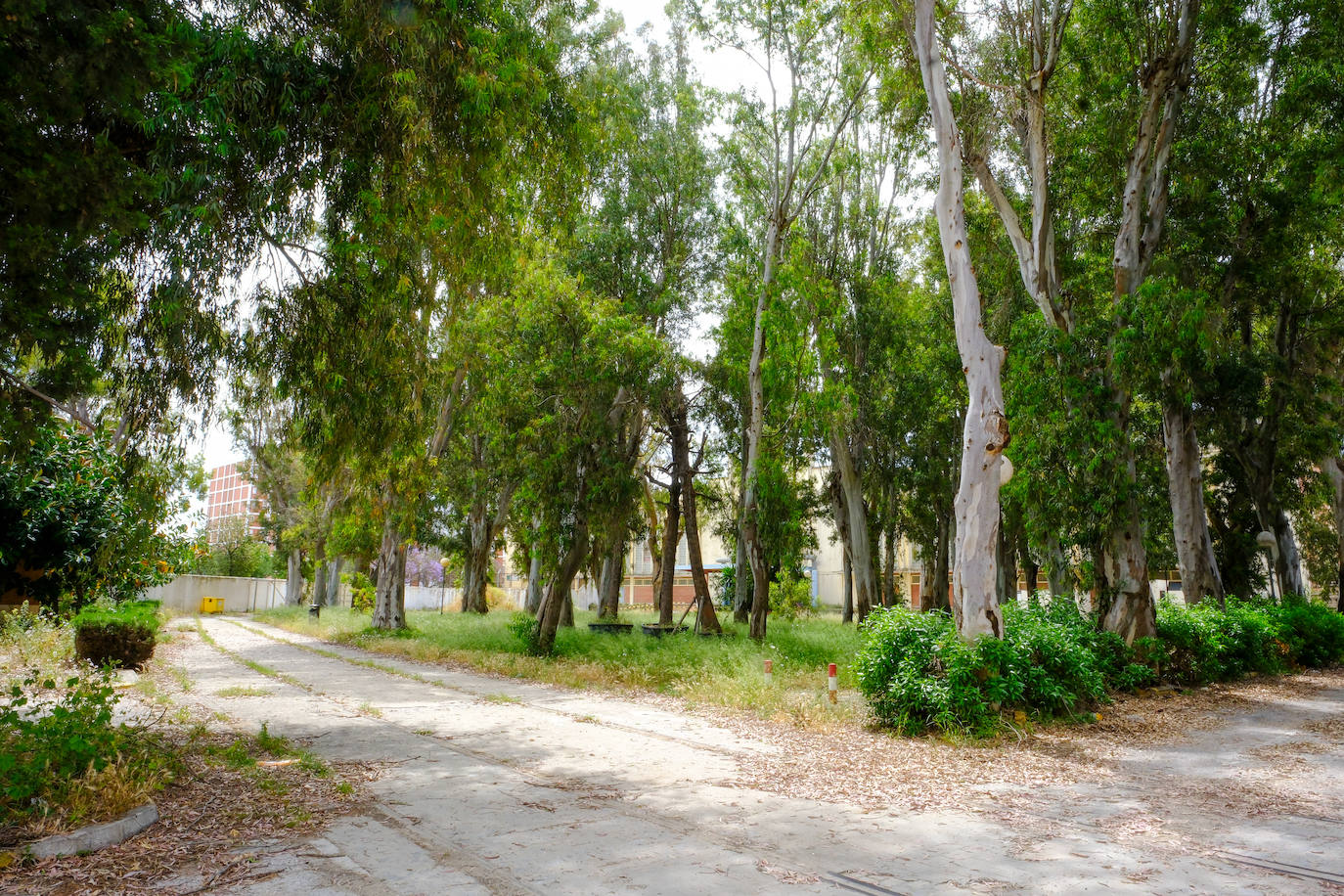 Fotos: estado actual de los Depósitos de Tabaco en Cádiz, donde se ubicará la Ciudad de la Justicia