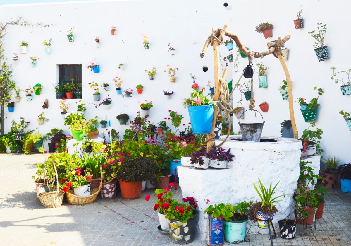 Patio de Vejer