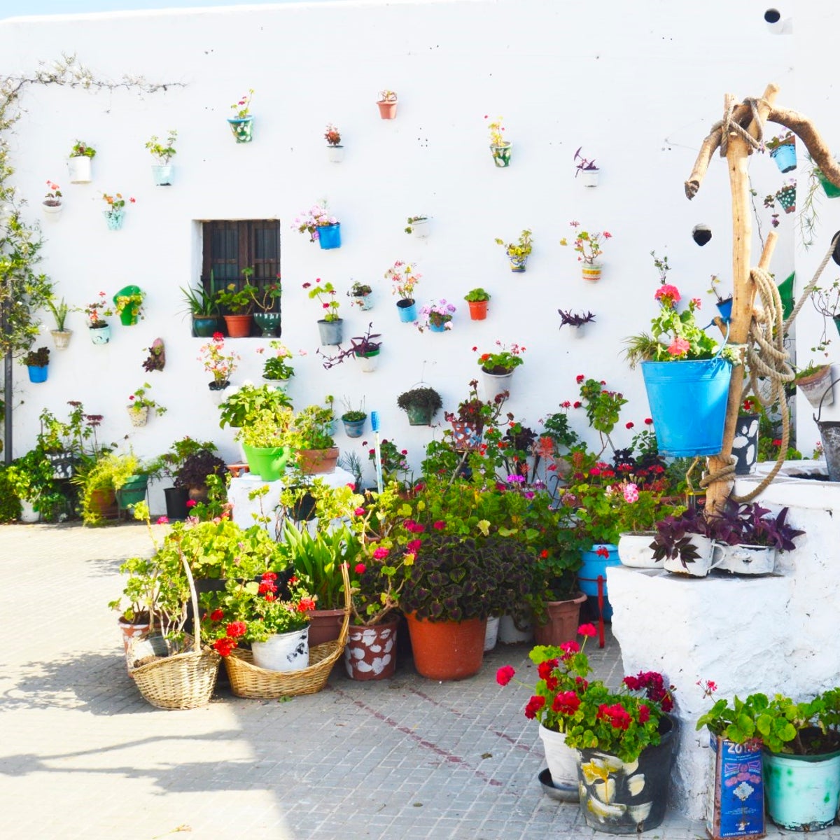 Patio de Vejer