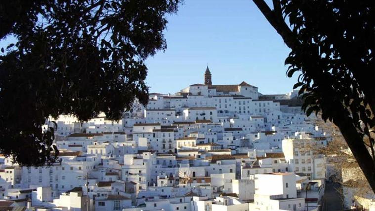 Imagen de Alcalá de los Gazules