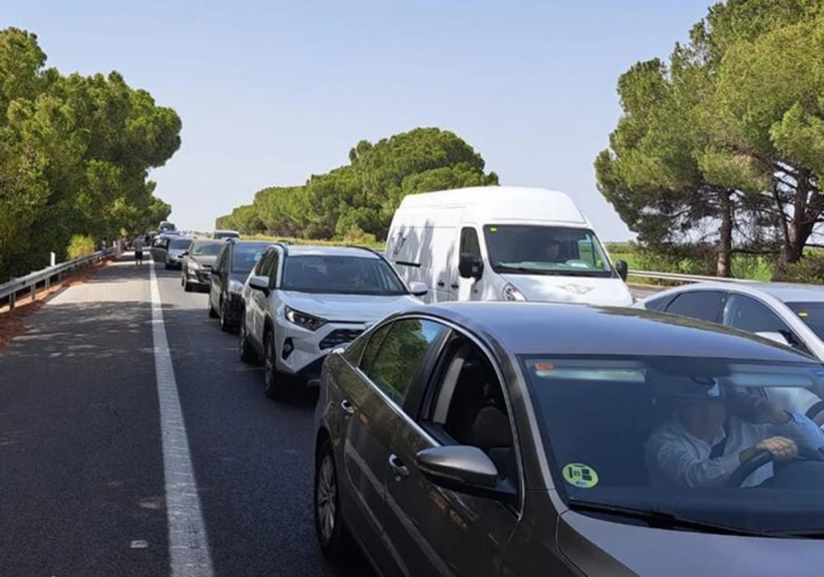 La DGT ha informado sobre un accidente en la AP-4 dirección Cádiz este sábado.