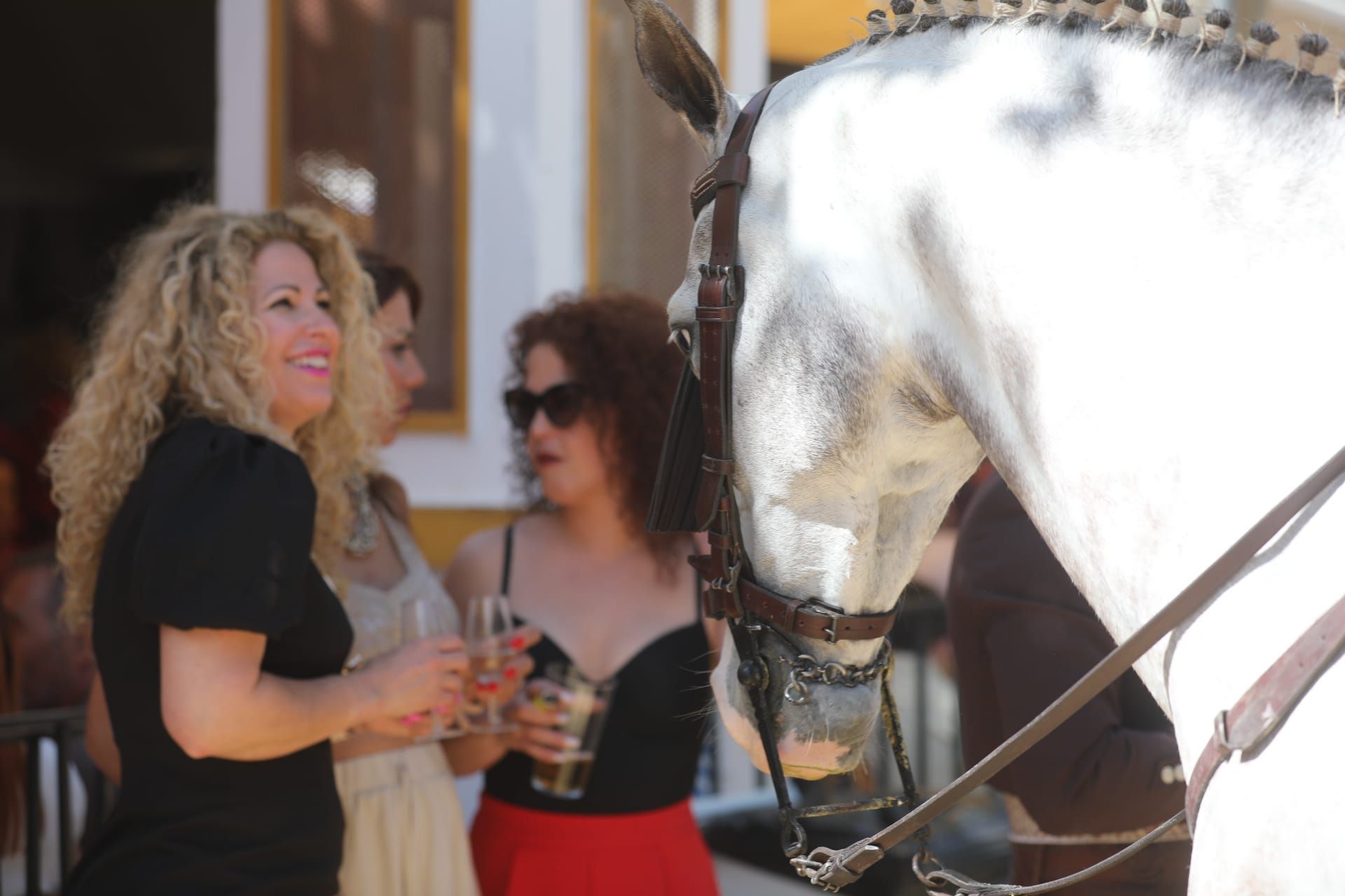 Fotos: Gran ambiente en el domingo de Feria de Jerez