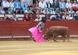 Peregrino, Morilla y Candelas obtienen trofeos en una entretenida Novillada con la que se inicia la Feria de Jerez