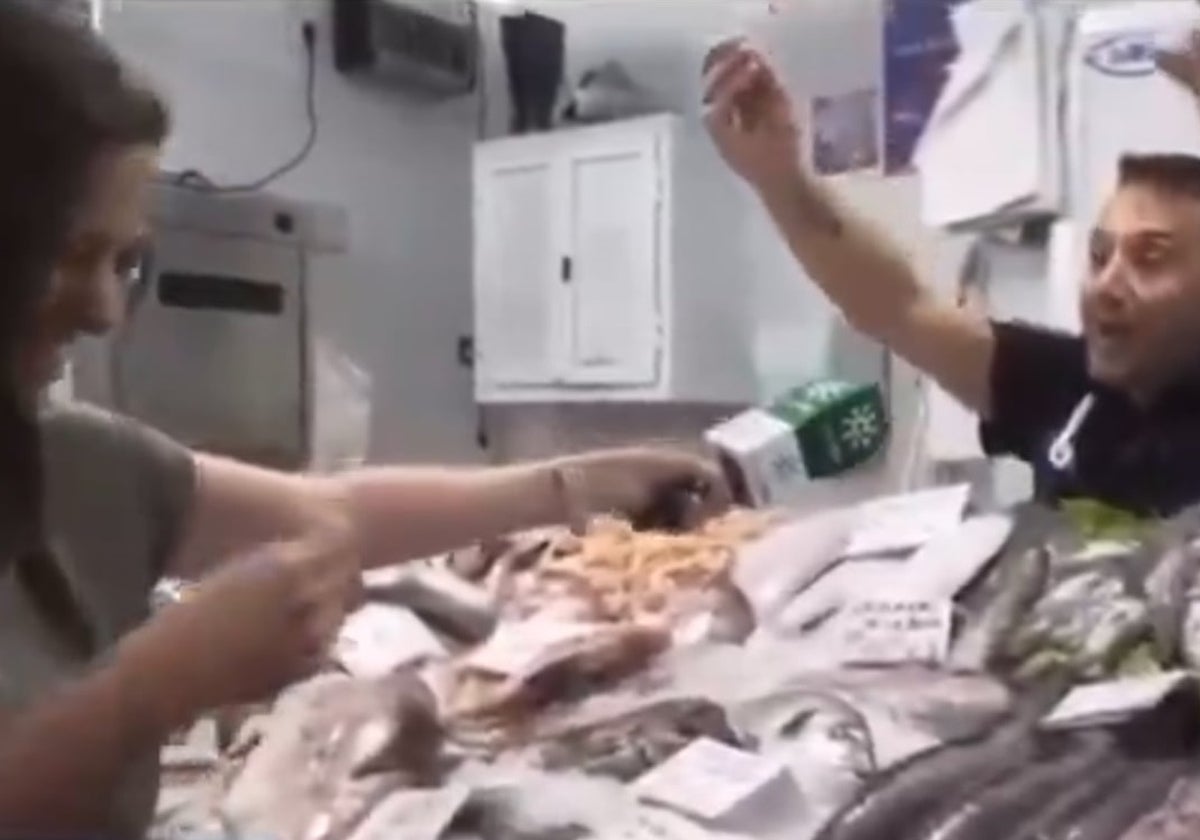 Invasión de gaviotas en el Mercado Central de Abastos: «Este vídeo es CADI en mayúsculas»